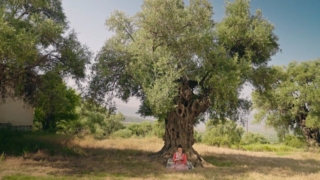 “Hangi yüzyılda yaşıyoruz?”