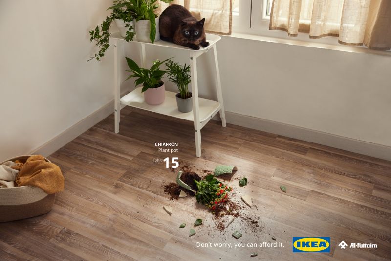 IKEA'dan hayvanseverlere mesaj var: "Acınızı paylaşıyoruz!"