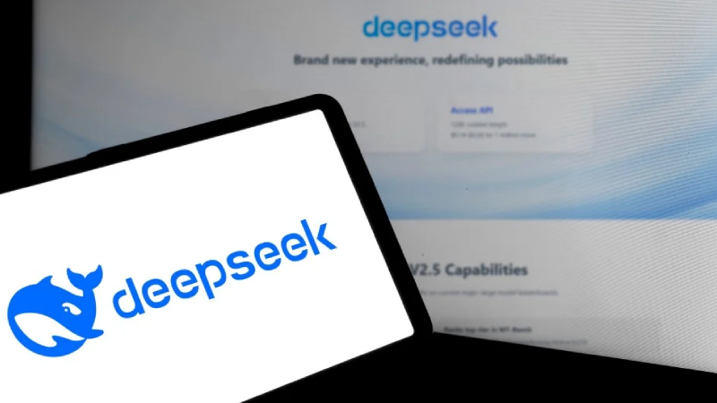 deepseek11.png